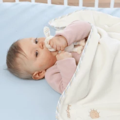 FEHN Knuffeldeken Baby Love Schaap Paul -Beddengoed Verkoopwinkel fehn knuffeldeken baby love schaap paul a005535 4