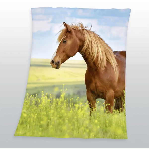 HERDING Vlies Deken Paard 3 HERDING Vlies Deken Paard - Afbeelding 3